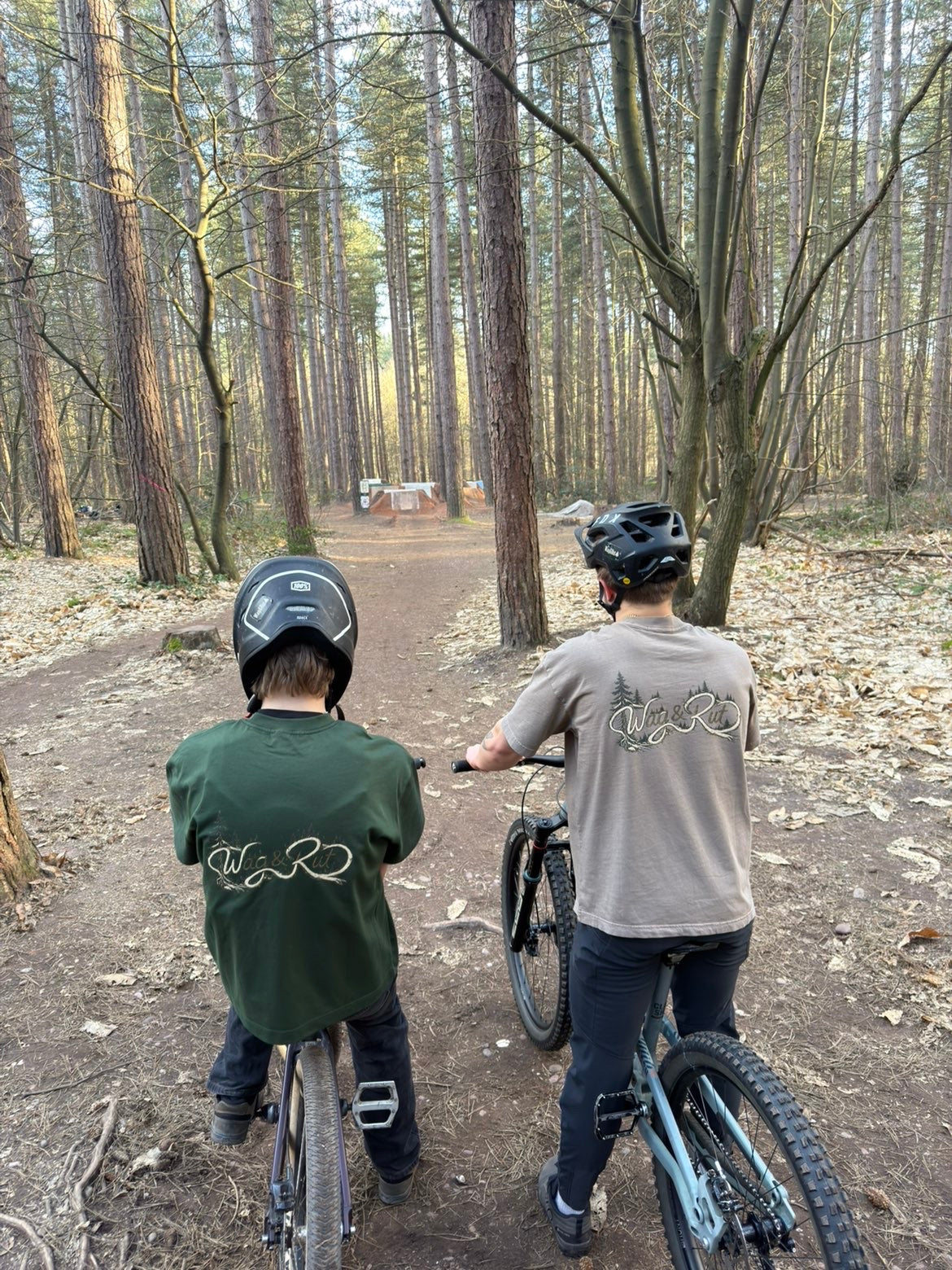 Pines